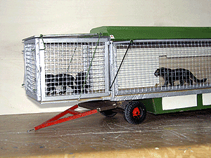 Raubtierwagen mit Veranda
