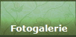 Fotogalerie