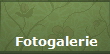 Fotogalerie